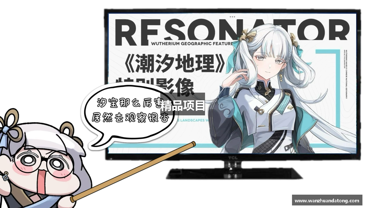 精品项目